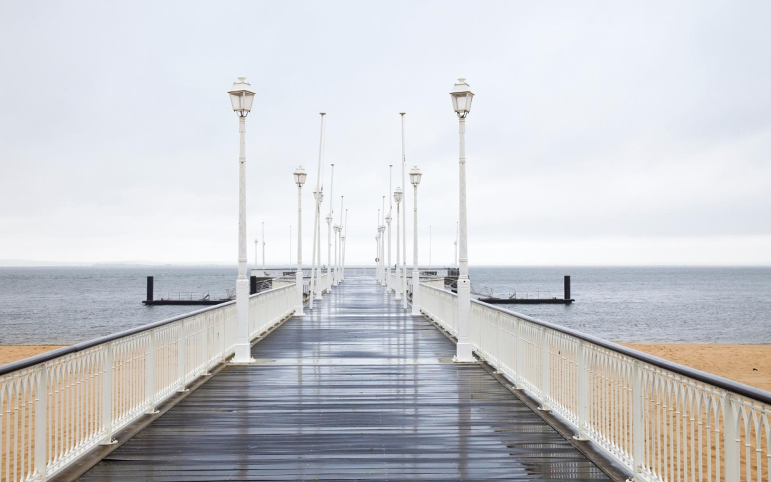Redécouvrir le bassin d’arcachon entre nature, culture et innovation
